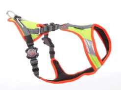 Grossenbacher Mantrailing V Hundegeschirr M. Laufrolle Neon LED 7 Grossenbacher Mantrailing V Hundegeschirr M. Laufrolle Neon LED -Hundebedarf 324255 Product