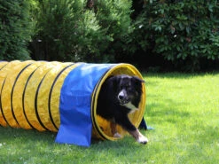 Hunde Profi Agility Tunnel FCI Konform Gelb -Hundebedarf 332507 Product