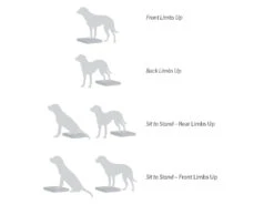 FitPAWS® Balance Pad -Hundebedarf 395805 Product