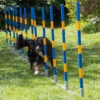 Hundesport Profi Agility Slalom