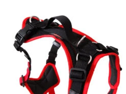 Grossenbacher Hundegeschirr Vary Rot -Hundebedarf 436519 Product