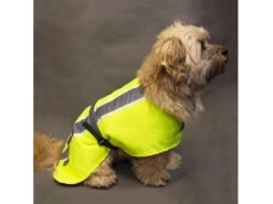 Leucht- & Wärme Hundemantel Flecta Vizlite DT -Hundebedarf 440607 Product