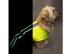 Leucht- & Wärme Hundemantel Flecta Vizlite DT -Hundebedarf 440609 Product