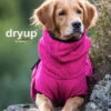 Dryup Cape Hundebademantel Pink