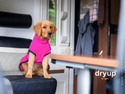 Dryup Cape Hundebademantel Pink -Hundebedarf 448079 Product
