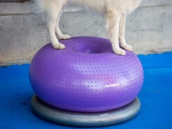 FitPAWS® TRAX Donut 7 FitPAWS® TRAX Donut -Hundebedarf 462885 Product