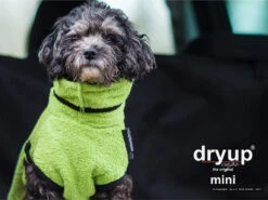 Dryup Cape Hundebademantel Mini Kiwi