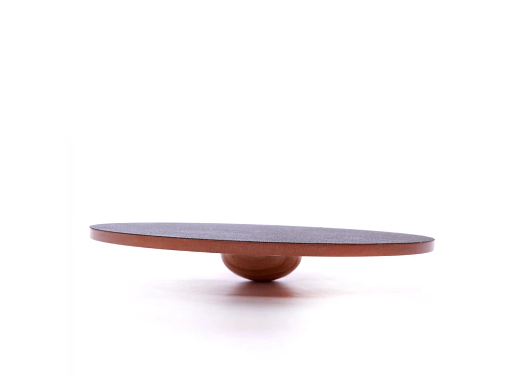 FitPAWS® Wobble Board 2 FitPAWS® Wobble Board – Bild 2