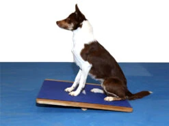 FitPAWS® Giant Rocker Board -Hundebedarf 482492 Product