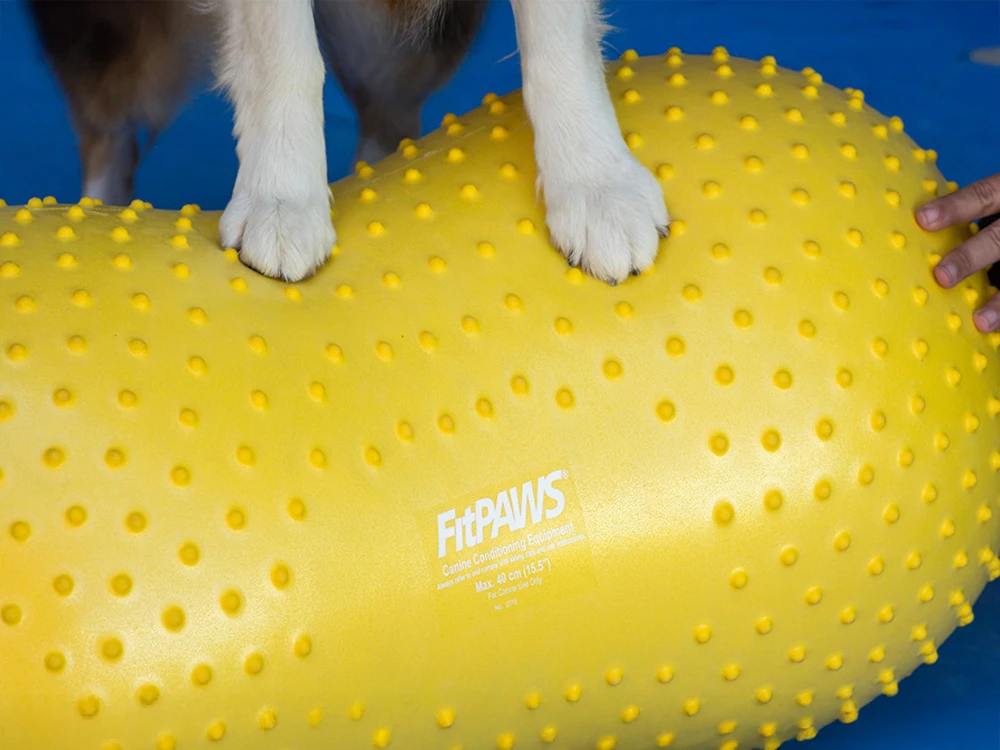 FitPAWS® Peanut Trax Gelb 40 Cm 3 FitPAWS® Peanut Trax Gelb 40 Cm – Bild 3