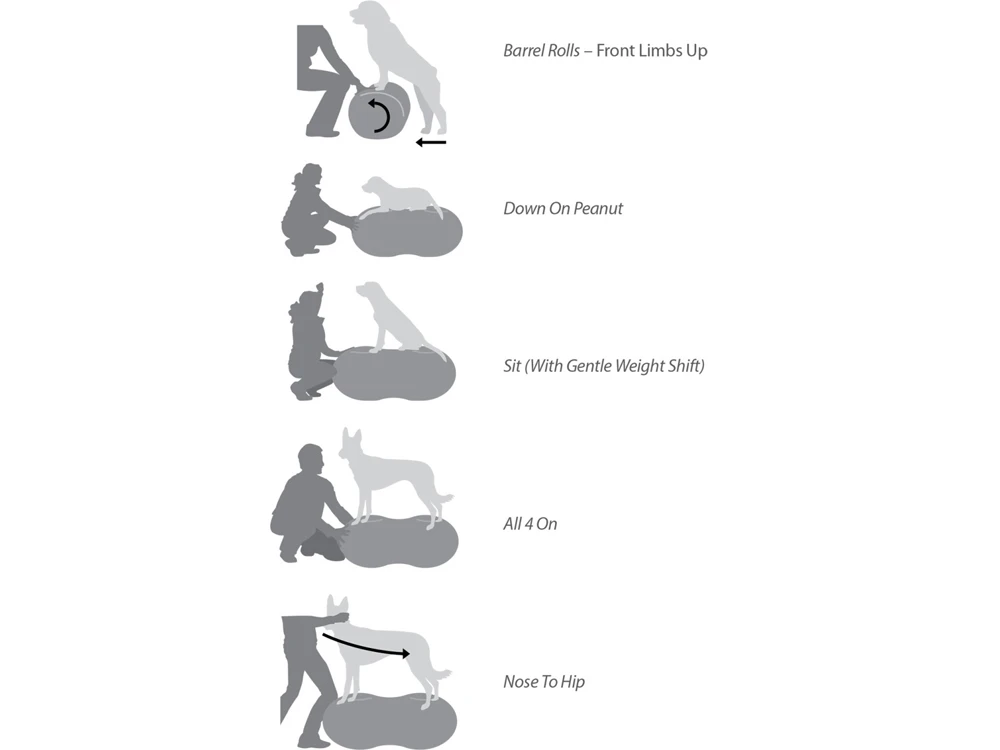 FitPAWS® Peanut Trax Gelb 40 Cm 5 FitPAWS® Peanut Trax Gelb 40 Cm – Bild 5