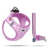 Curli Welpengeschirr Air-Mesh Mit Leine Pink