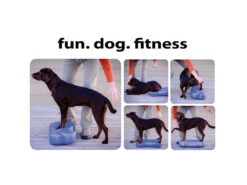 FitPAWS® Giant K9 FITbone™ 7 FitPAWS® Giant K9 FITbone™ -Hundebedarf 499922 Product