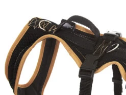 Grossenbacher Hundegeschirr FunRun Windhund Spezial -Hundebedarf 501965 Product