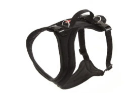 Hundebedarf 32 Grossenbacher Hundegeschirr FunRun Bulldogge Spezial