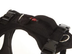 Grossenbacher Hundegeschirr FunRun Bulldogge Spezial -Hundebedarf 502161 Product