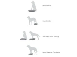 FitPAWS® Balance Disc Blau -Hundebedarf 505350 Product