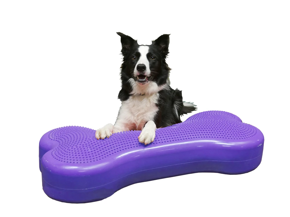 FitPAWS® Giant K9 FITbone™ 1 FitPAWS® Giant K9 FITbone™