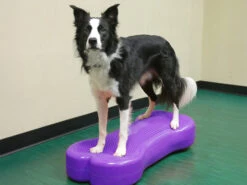 FitPAWS® Giant K9 FITbone™ 6 FitPAWS® Giant K9 FITbone™ -Hundebedarf 505464 Product