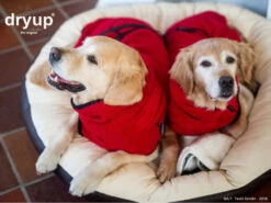 Dryup Cape Hundebademantel Red Pepper -Hundebedarf 506856 Product