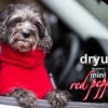 Dryup Cape Hundebademantel Mini Red Pepper