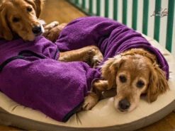 Dryup Cape Hundebademantel Bilberry -Hundebedarf 513365 Product