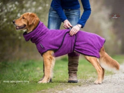 Dryup Cape Hundebademantel Bilberry -Hundebedarf 513367 Product