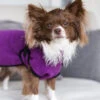 Dryup Cape Hundebademantel Mini Bilberry