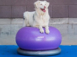 FitPAWS® TRAX Donut 8 FitPAWS® TRAX Donut -Hundebedarf 521022 Product