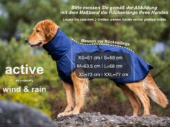 Active Cape Wind & Rain MINI Orange 7 Active Cape Wind & Rain MINI Orange -Hundebedarf 556638 Product
