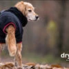 Dryup Cape Hundebademantel Schwarz