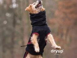 Dryup Cape Hundebademantel Schwarz -Hundebedarf 557183 Product