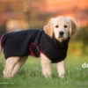 Dryup Cape Hundebademantel Mini Schwarz