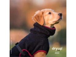 Dryup Cape Hundebademantel Mini Schwarz -Hundebedarf 557443 Product