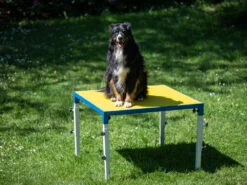 Hundesport Profi Verstellbarer Tisch -Hundebedarf 598294 Product