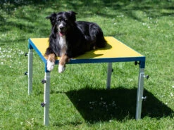 Hundesport Profi Verstellbarer Tisch -Hundebedarf 598296 Product
