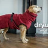 Dryup Cape Royal Hundebademantel Micro Cotton Bordeaux