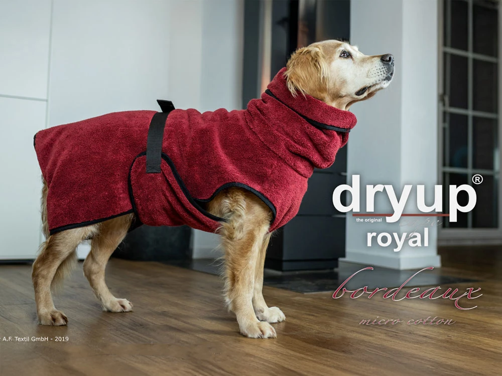 Dryup Cape Royal Hundebademantel Micro Cotton Bordeaux 1 Dryup Cape Royal Hundebademantel Micro Cotton Bordeaux