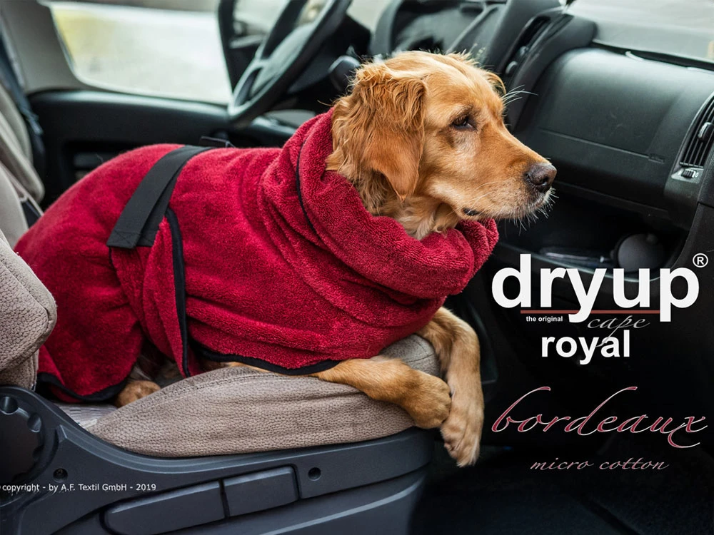 Dryup Cape Royal Hundebademantel Micro Cotton Bordeaux 2 Dryup Cape Royal Hundebademantel Micro Cotton Bordeaux – Bild 2