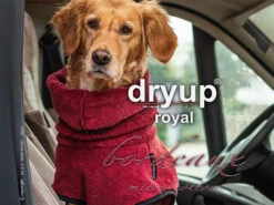 Dryup Cape Royal Hundebademantel Micro Cotton Bordeaux 7 Dryup Cape Royal Hundebademantel Micro Cotton Bordeaux -Hundebedarf 616505 Product