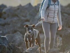 Ruffwear Front Range™ 2.0 Hundegeschirr Twilight Gray -Hundebedarf 620829 Product