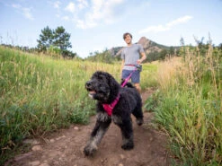 Ruffwear Front Range™ 2.0 Hundegeschirr Hibiscus Pink -Hundebedarf 621161 Product