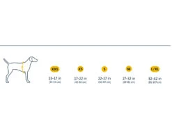 Ruffwear Front Range™ 2.0 Hundegeschirr Hibiscus Pink -Hundebedarf 621169 Product