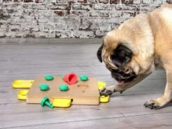 Denksport Trainer Cube -Hundebedarf 646054 Product