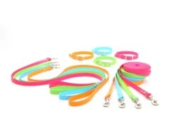 Relaxoo Biothane Hundehalsband Passion 16mm Breit -Hundebedarf 646538 Product