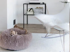 District 70 FUZZ Hundebett Donut Light Grey -Hundebedarf 660121 Product