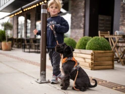 Comfort Walk Pro V2 Hundegeschirr Mocca -Hundebedarf 672014 Product