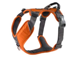 Comfort Walk Pro V2 Hundegeschirr Orange Sun