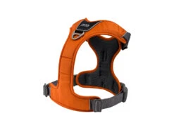 Comfort Walk Pro V2 Hundegeschirr Orange Sun -Hundebedarf 673060 Product