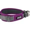 Dog Copenhagen Urban Explorer V2 Halsband Purple Passion